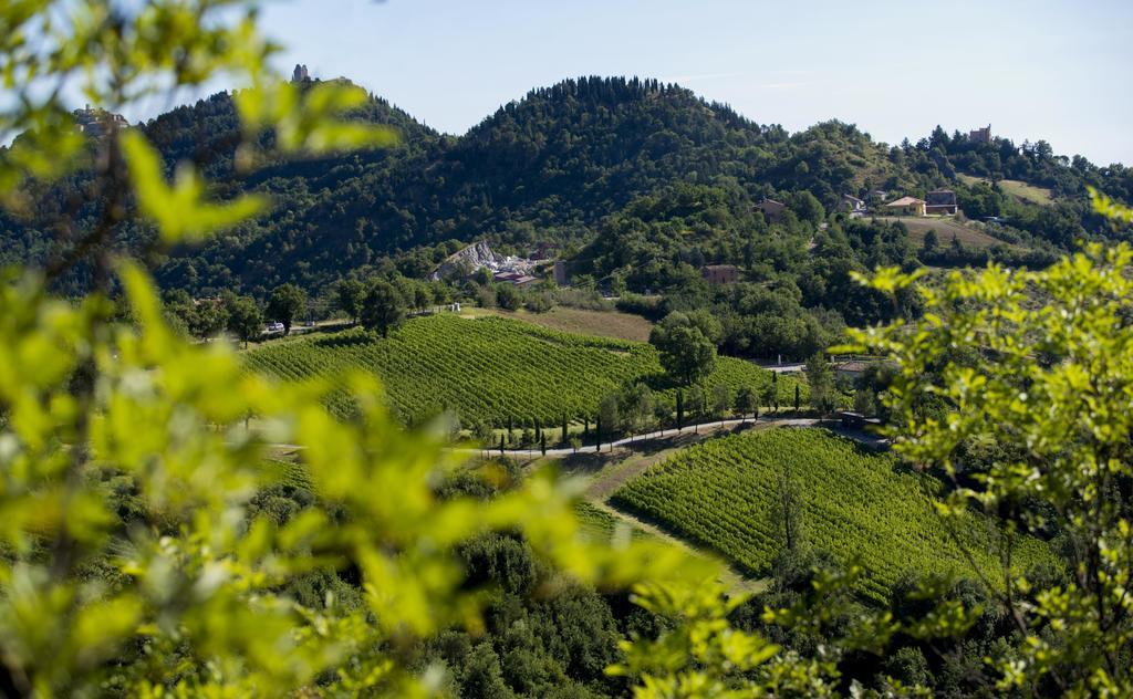 Tenuta Saiano Resort Torriana Zewnętrze zdjęcie